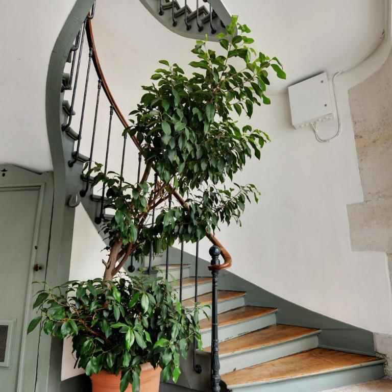 Wonderful Apartment - Bastille - Appartement 1 Chambre - 14