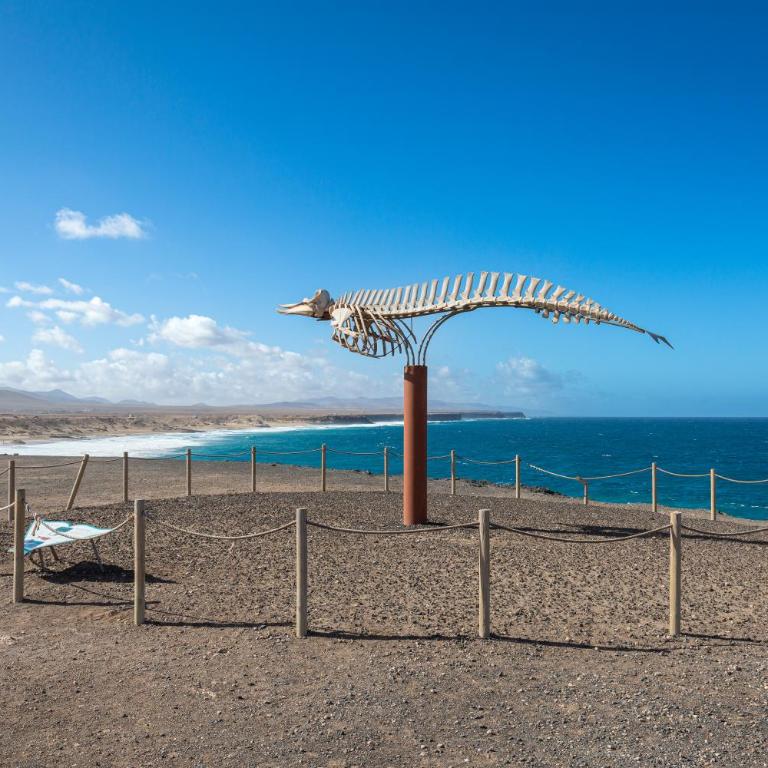 Home2Book El Cotillo Duplex Apt, Coastal Paradise - Apartamento de 2 dormitorios - 19