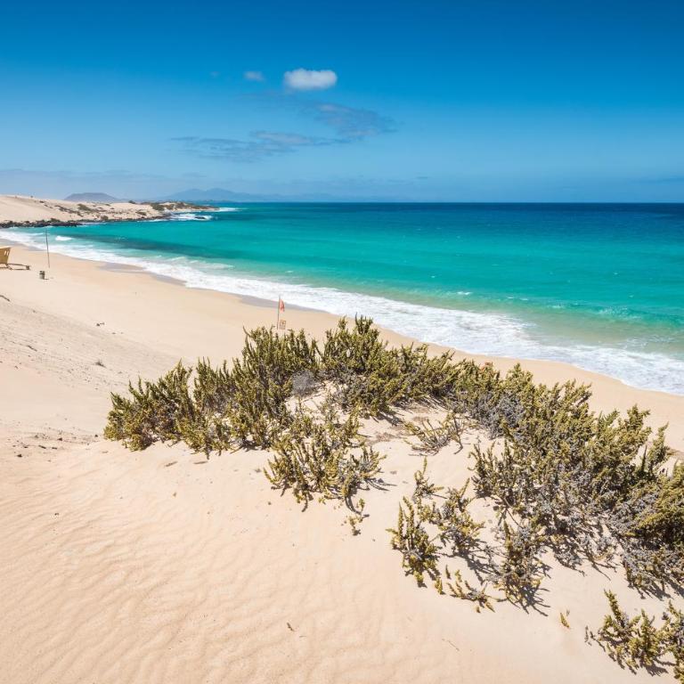 Home2Book El Cotillo Duplex Apt, Coastal Paradise - Apartamento de 2 dormitorios - 22