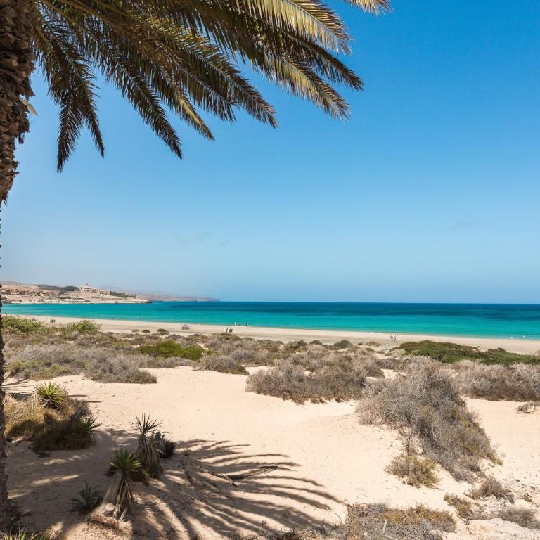 Home2Book El Cotillo Duplex Apt, Coastal Paradise - Apartamento de 2 dormitorios - 37