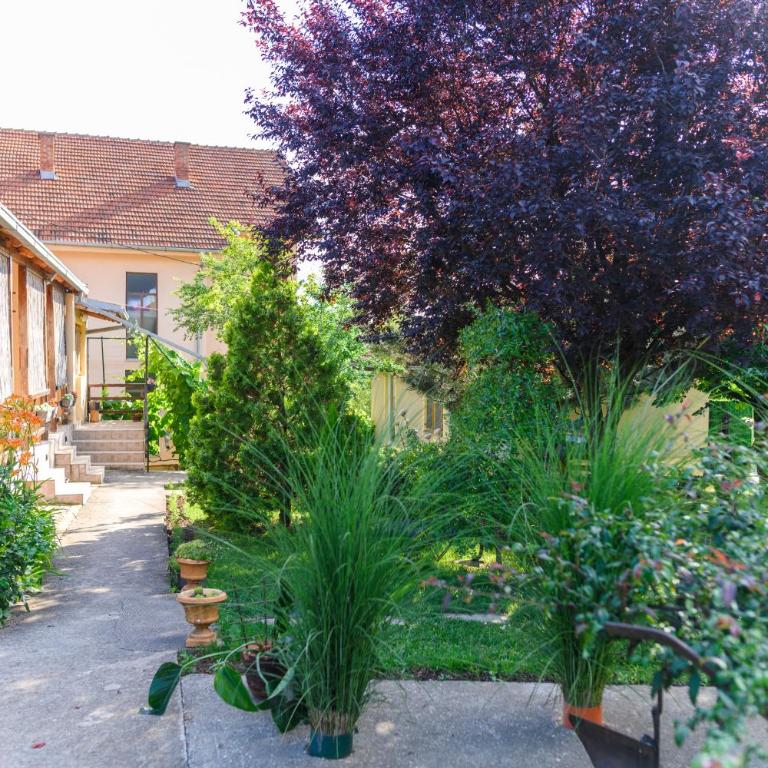 SPA apartman Tomin adults only - Apartman sa 1 Spavaćom Sobom - 26