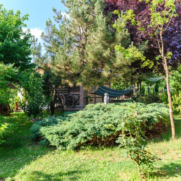 SPA apartman Tomin adults only - Apartman sa 1 Spavaćom Sobom - 25