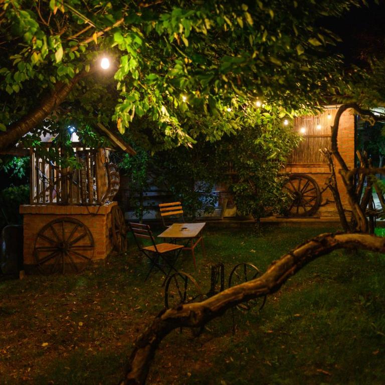 SPA apartman Tomin adults only - Apartman sa 1 Spavaćom Sobom - 28