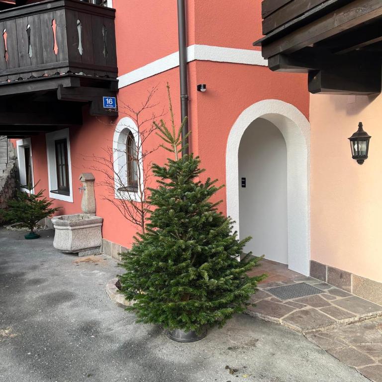 Mountain King Chalet - Apartamento de 1 dormitorio - 6