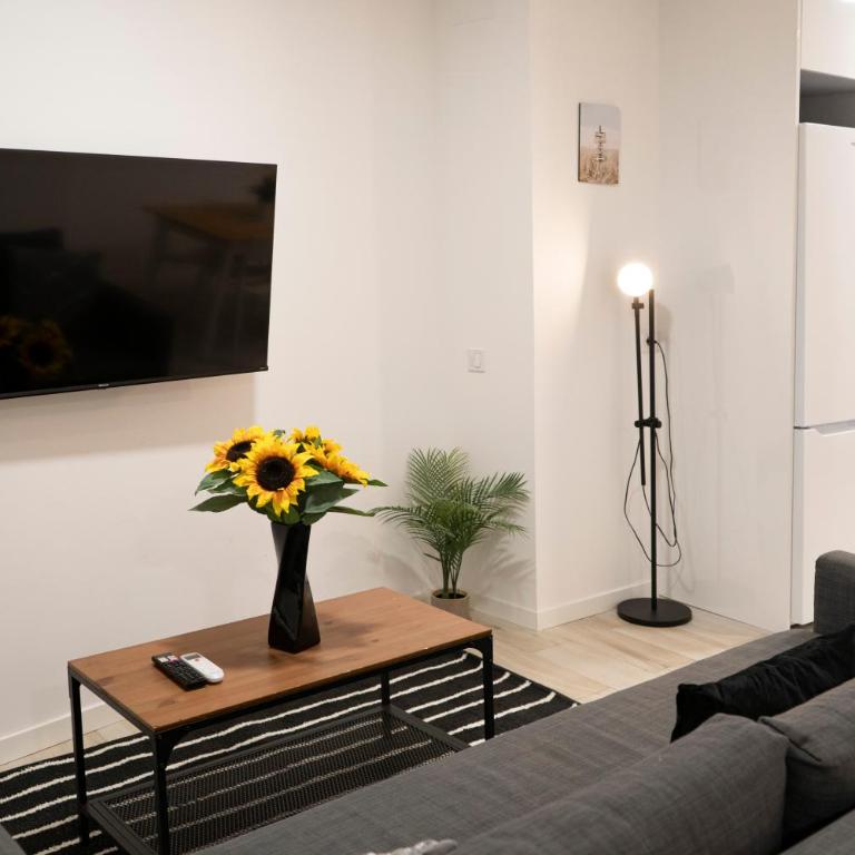 Oshun Plaza Castilla - One-Bedroom Standard Apartment - 5