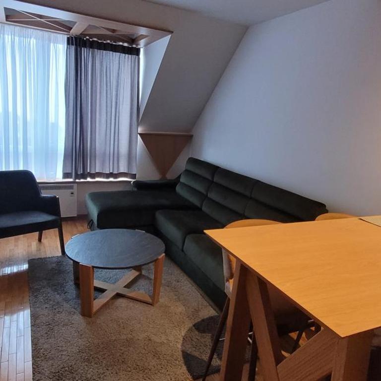 Kraljevi Cardaci, Kopaonik, Lux apartman 9C-71 - One-Bedroom Apartment - 24