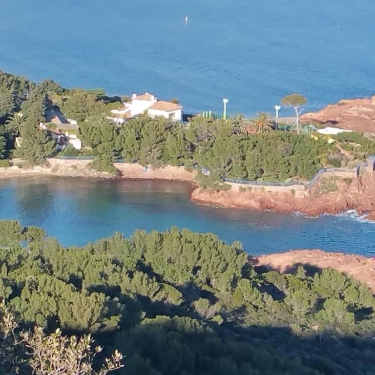 House with your feet in the water, between forest and beach - AGAY - Appartement 2 Chambres - 16