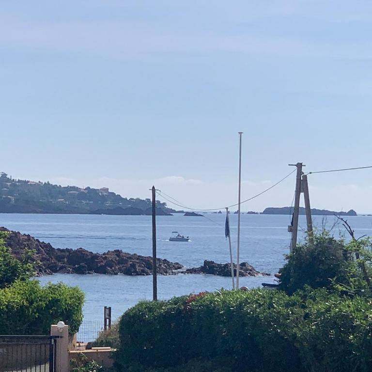 House with your feet in the water, between forest and beach - AGAY - Appartement 2 Chambres - 19