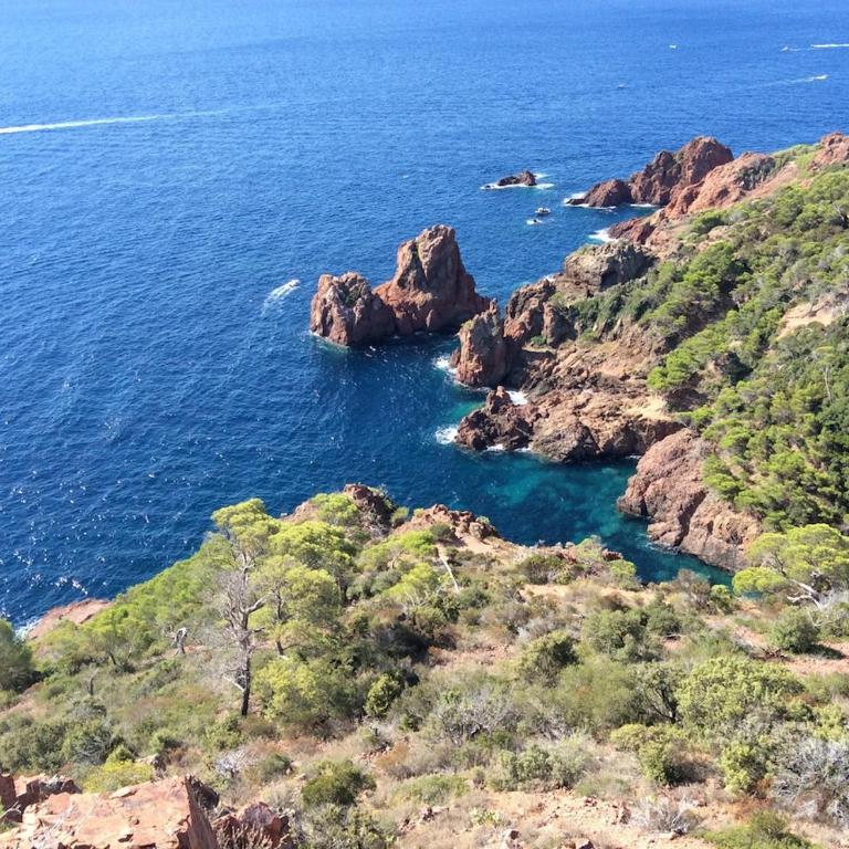 House with your feet in the water, between forest and beach - AGAY - Appartement 2 Chambres - 22
