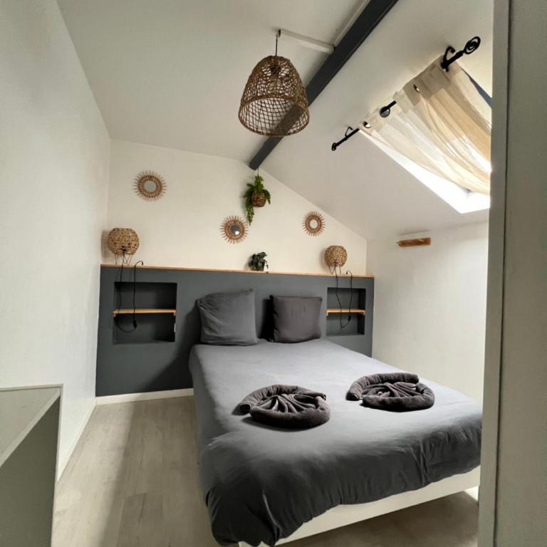 Joli Duplex - Centre ville - Amazonie - Appartement 1 Chambre - 12