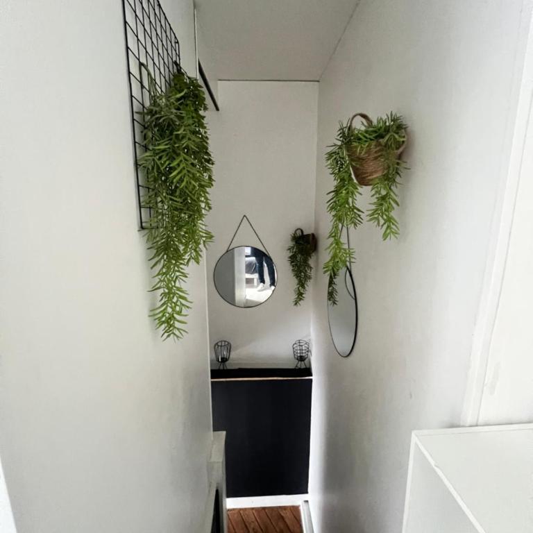 Joli Duplex - Centre ville - Amazonie - Appartement 1 Chambre - 9