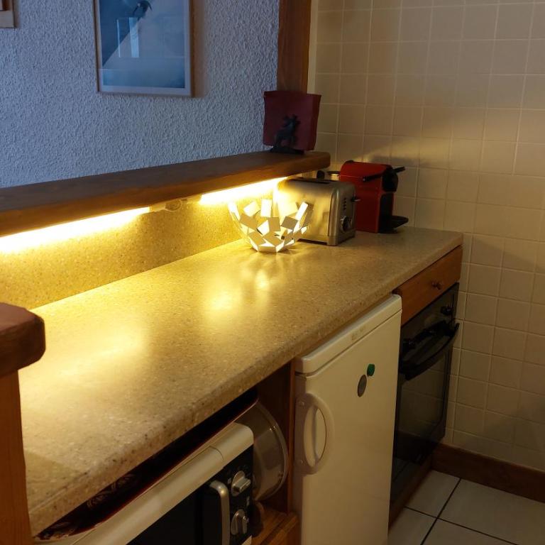 Appartement skis aux pieds Méribel-Mottaret avec garage et wifi - Appartement 1 Chambre - 10