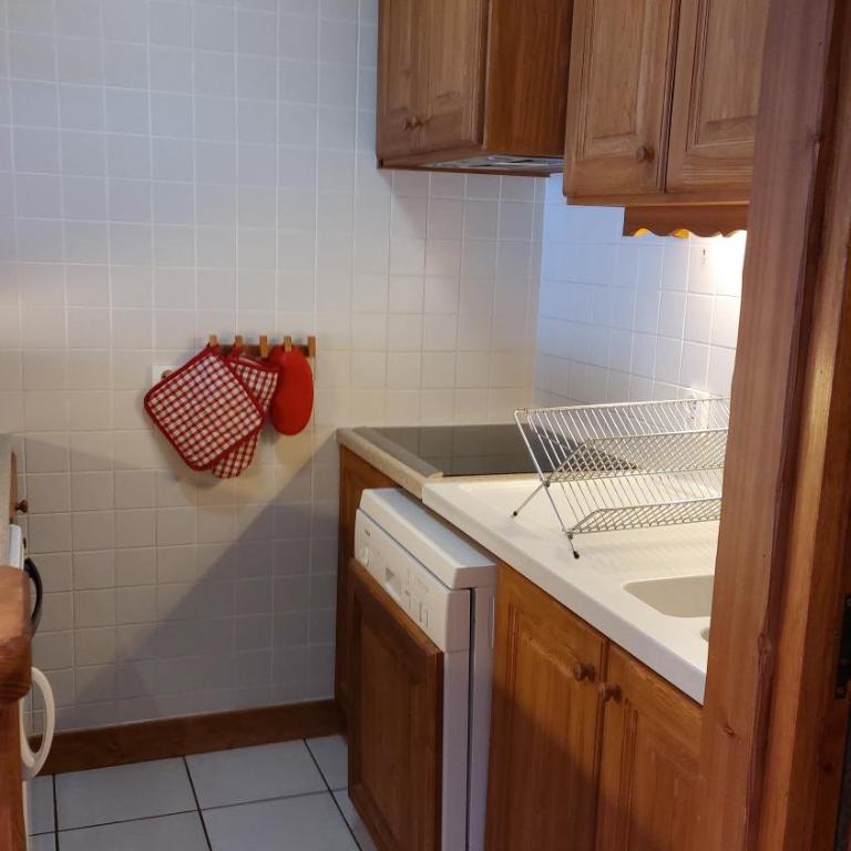 Appartement skis aux pieds Méribel-Mottaret avec garage et wifi - Appartement 1 Chambre - 9