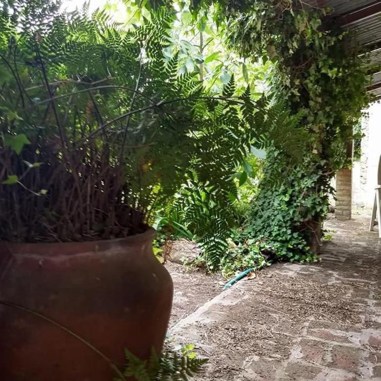 Casa en Mar Azul - Casa de 3 dormitorios - 3