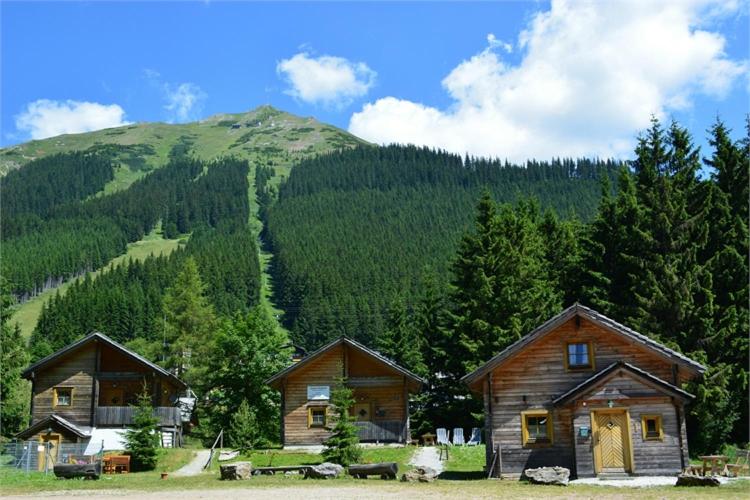 Almdorf Präbichl - Chalet (6 Erwachsene) - 11