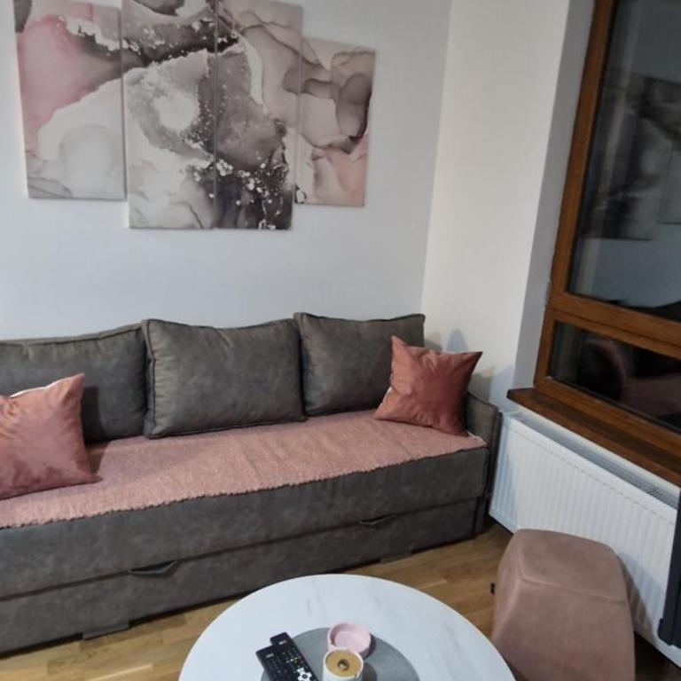 DivčiNova C19 Princess - Apartman sa 1 Spavaćom Sobom - 2
