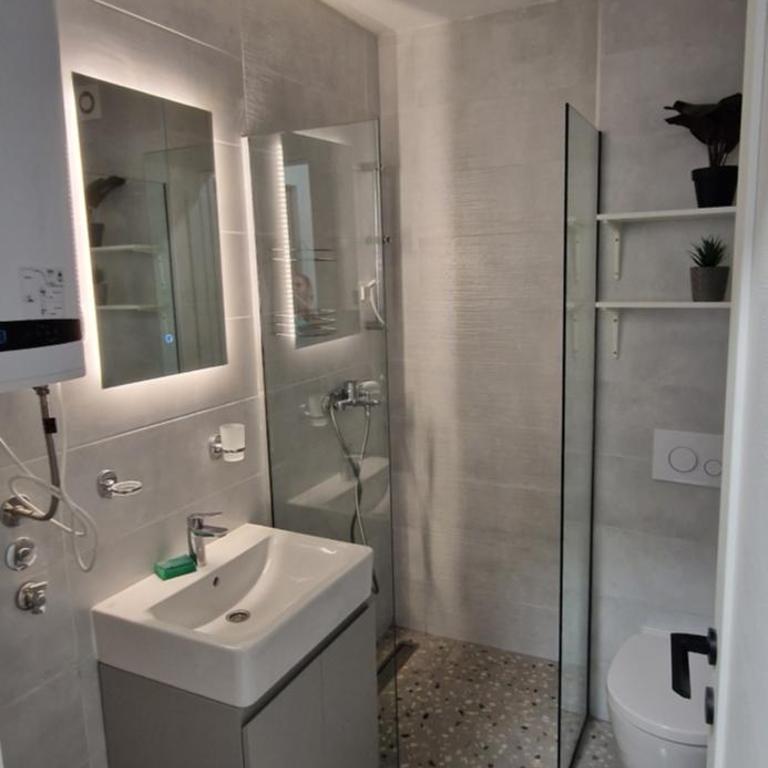 DivčiNova C19 Princess - Apartman sa 1 Spavaćom Sobom - 11