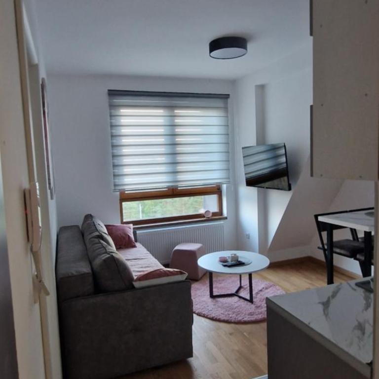 DivčiNova C19 Princess - Apartman sa 1 Spavaćom Sobom - 3