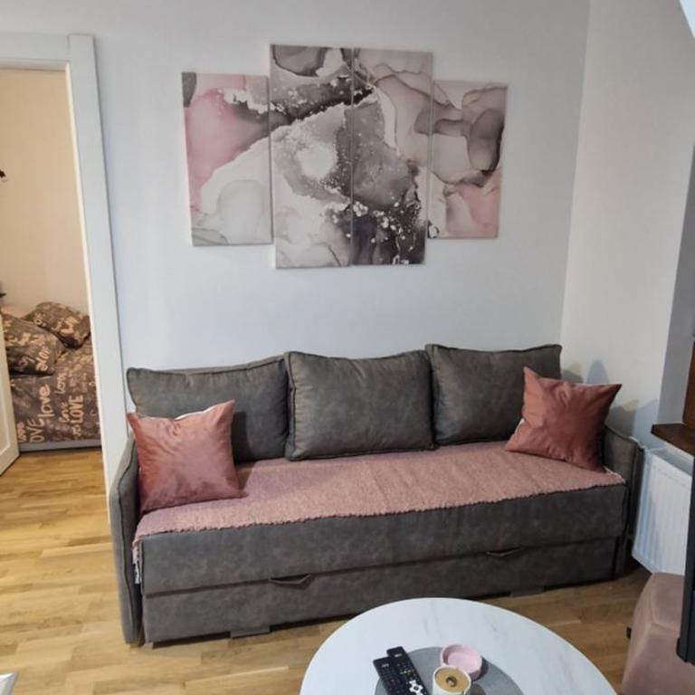 DivčiNova C19 Princess - Apartman sa 1 Spavaćom Sobom - 21