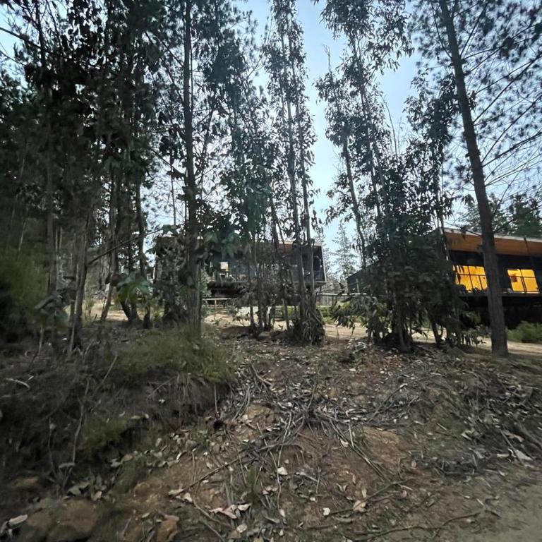 Hermosa casa en el bosque - Casa de 2 dormitorios - 4