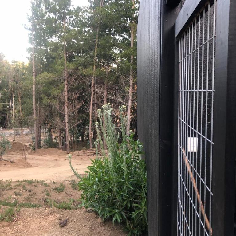 Hermosa casa en el bosque - Casa de 2 dormitorios - 19