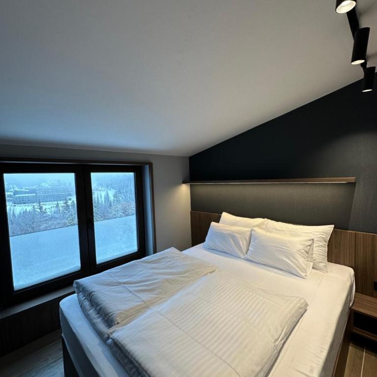 Nova Planina Jahorina - One-Bedroom Apartment with View - 9