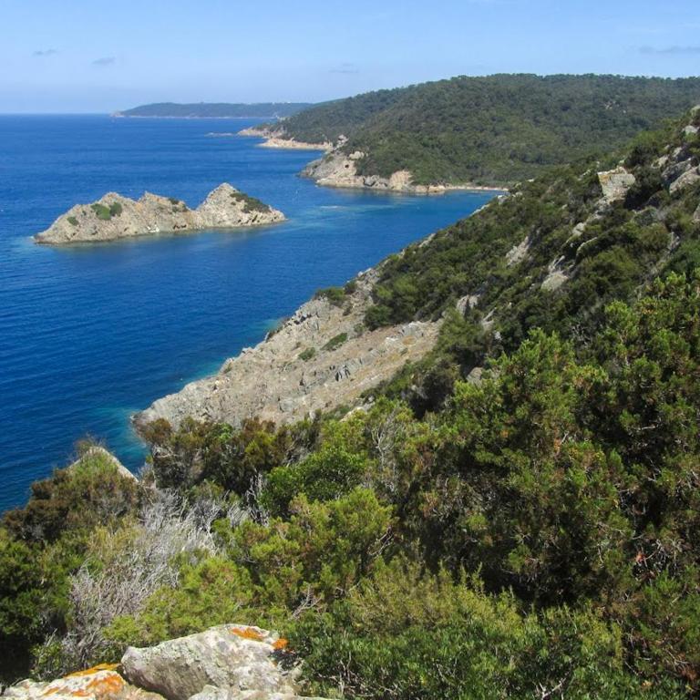 Authentique Villa le Cactus entièrement rénovée climatisée proche des plages du centre du Lavandou et du supermarché - Villa Standard - 64
