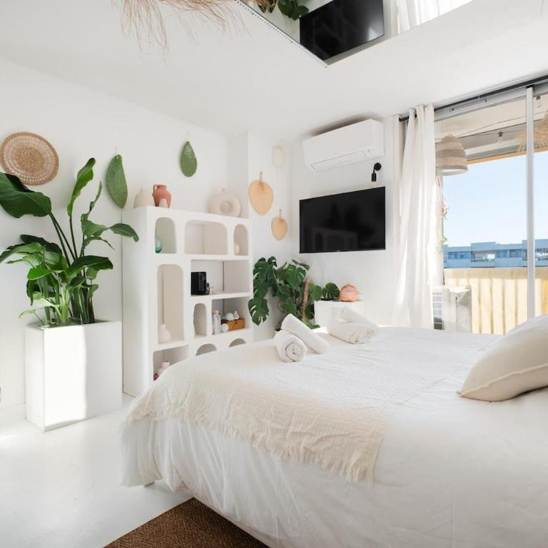 Suite Casa Azul - Appartement 1 Chambre - 3