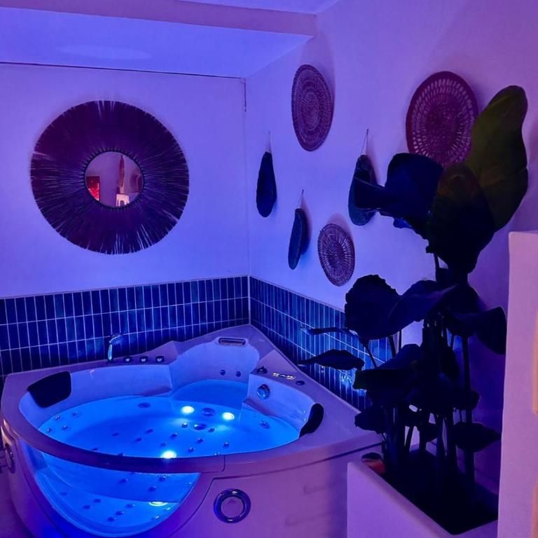Suite Casa Azul - Appartement 1 Chambre - 5