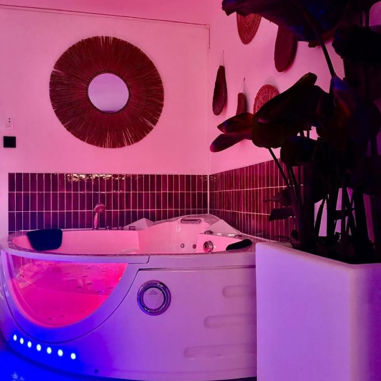 Suite Casa Azul - Appartement 1 Chambre - 7