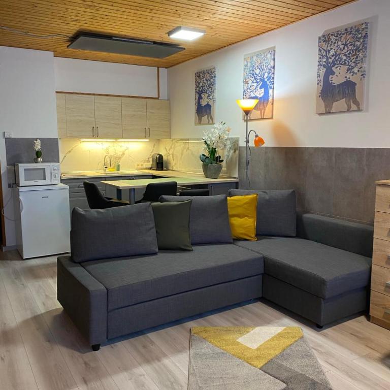 Cosy Apartment - Apartment mit 1 Schlafzimmer - 2