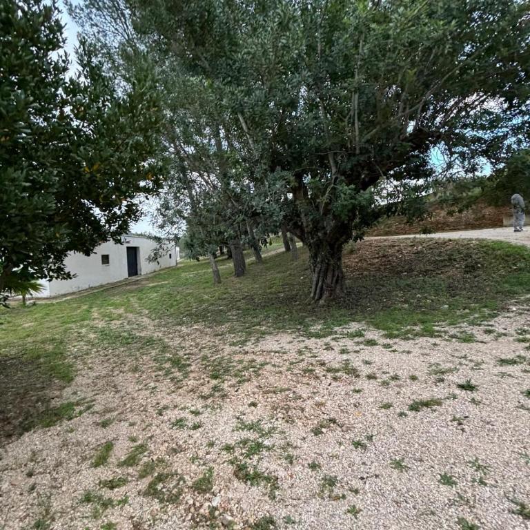 Paraiso Natural Unico -Villa Cueva Turche - Villa mit 3 Schlafzimmern - 13
