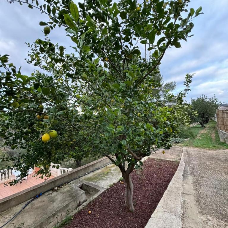 Paraiso Natural Unico -Villa Cueva Turche - Villa mit 3 Schlafzimmern - 19