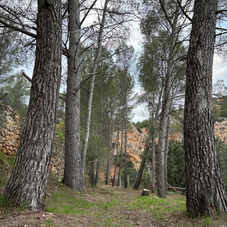 Paraiso Natural Unico -Villa Cueva Turche - Villa mit 3 Schlafzimmern - 40