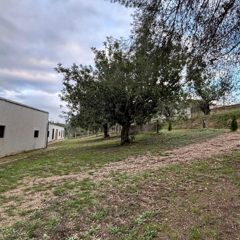 Paraiso Natural Unico -Villa Cueva Turche - Villa mit 3 Schlafzimmern - 44