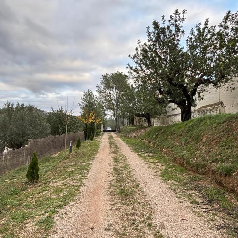 Paraiso Natural Unico -Villa Cueva Turche - Villa mit 3 Schlafzimmern - 47