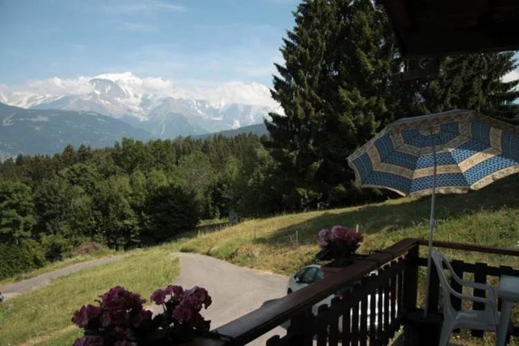 Charmant petit chalet cosy - Chalet 1 Chambre - 4