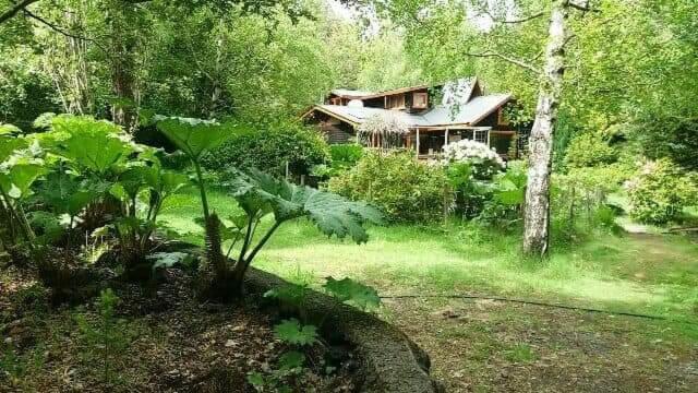 Pucón Magic forest - Suite con vistas al jardín - 1