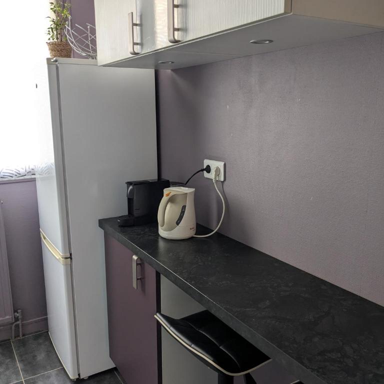 Appartement idéal circuit des 24h du Mans - Apartment mit 2 Schlafzimmern - 10