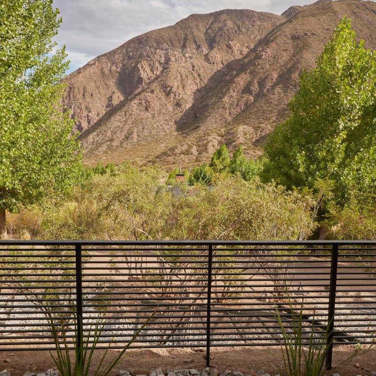 Ayres Lodge Vista Calma Potrerillos - Chalet de 2 dormitorios - 24