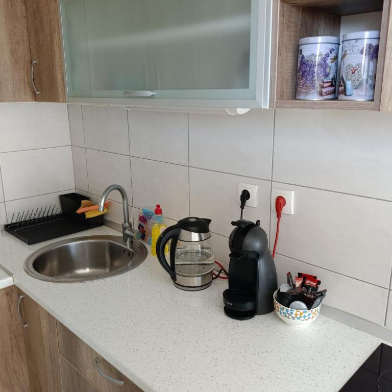 Forest Nest Divčibare - Apartman sa 1 Spavaćom Sobom - 29