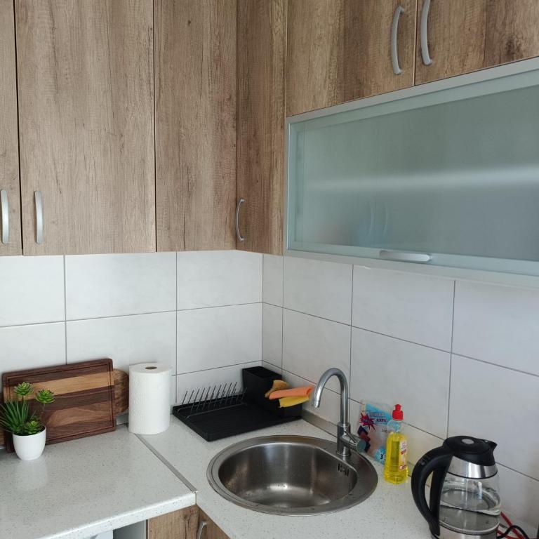 Forest Nest Divčibare - Apartman sa 1 Spavaćom Sobom - 27
