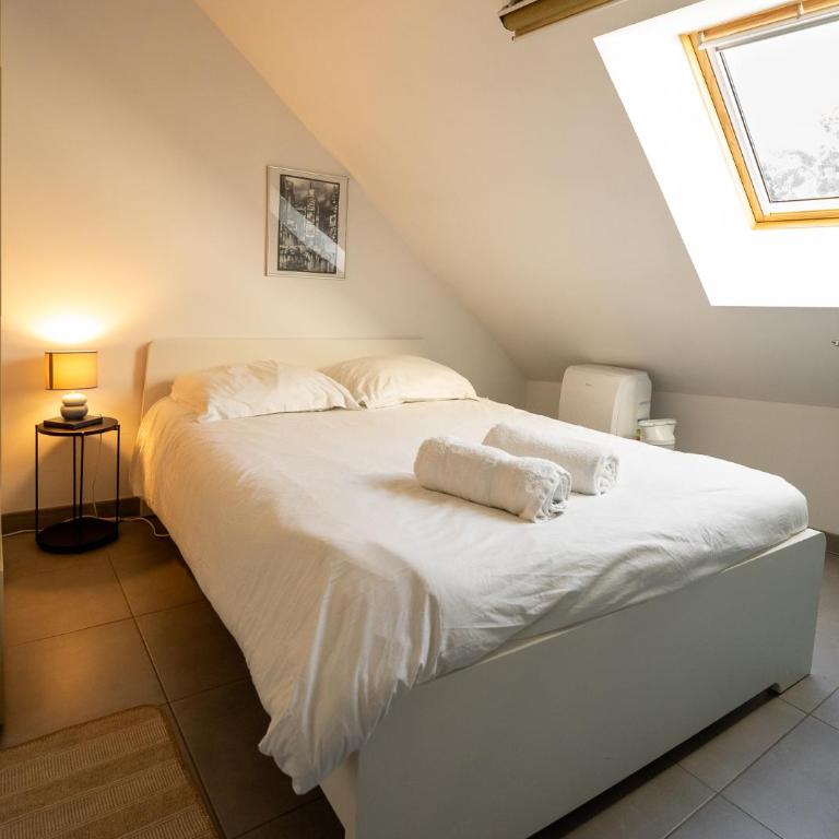 Le Quai de Prague - Cosy - Central - Loire - Parking gratuit dans la rue - Appartamento con 1 Camera da Letto - 1