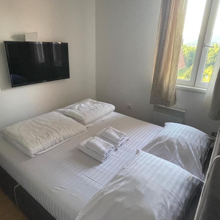 Kraljevi Čardaci apartman Lux 10 - Apartman sa 1 Spavaćom Sobom - 9