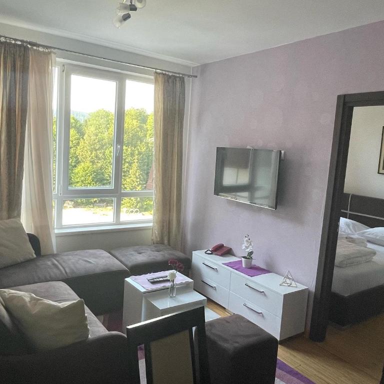 Kraljevi Čardaci apartman Lux 10 - Apartman sa 1 Spavaćom Sobom - 1