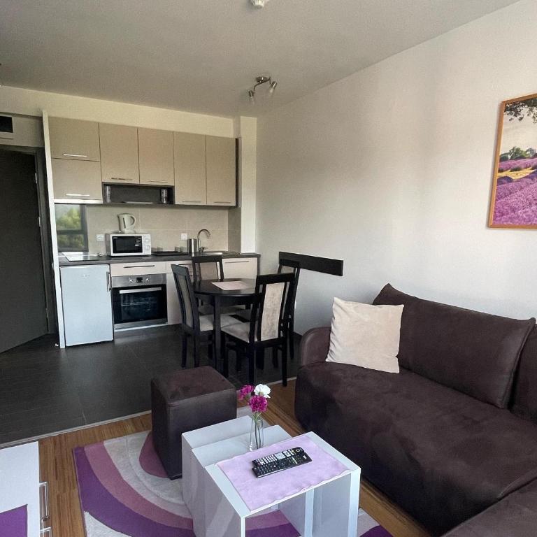 Kraljevi Čardaci apartman Lux 10 - Apartman sa 1 Spavaćom Sobom - 12