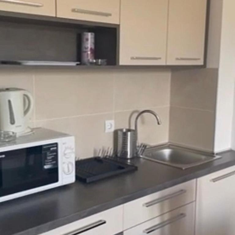 Kraljevi Čardaci apartman Lux 10 - Apartman sa 1 Spavaćom Sobom - 14