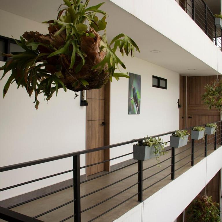 Norte Cali - Bosque Living -203 - Apartamento de 1 dormitorio - 12