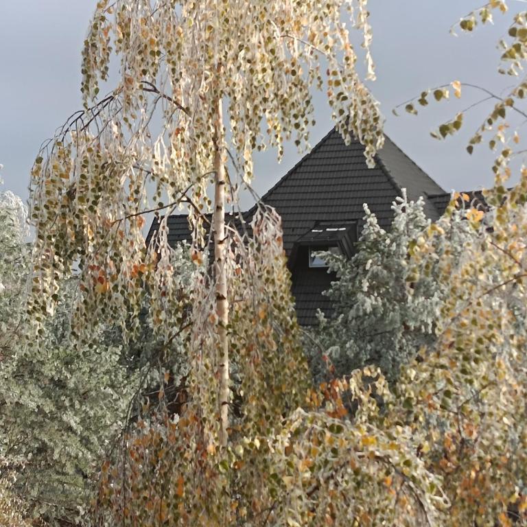 Forest Nest Divčibare - Apartman sa 1 Spavaćom Sobom - 6