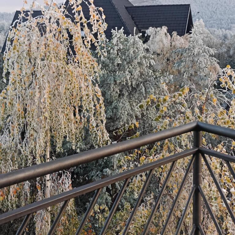 Forest Nest Divčibare - Apartman sa 1 Spavaćom Sobom - 8